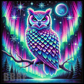 Owl Aurora 15 OZ Straight Wrap