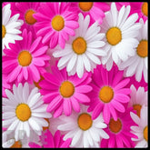 Floral Delight 15 OZ Straight Wrap