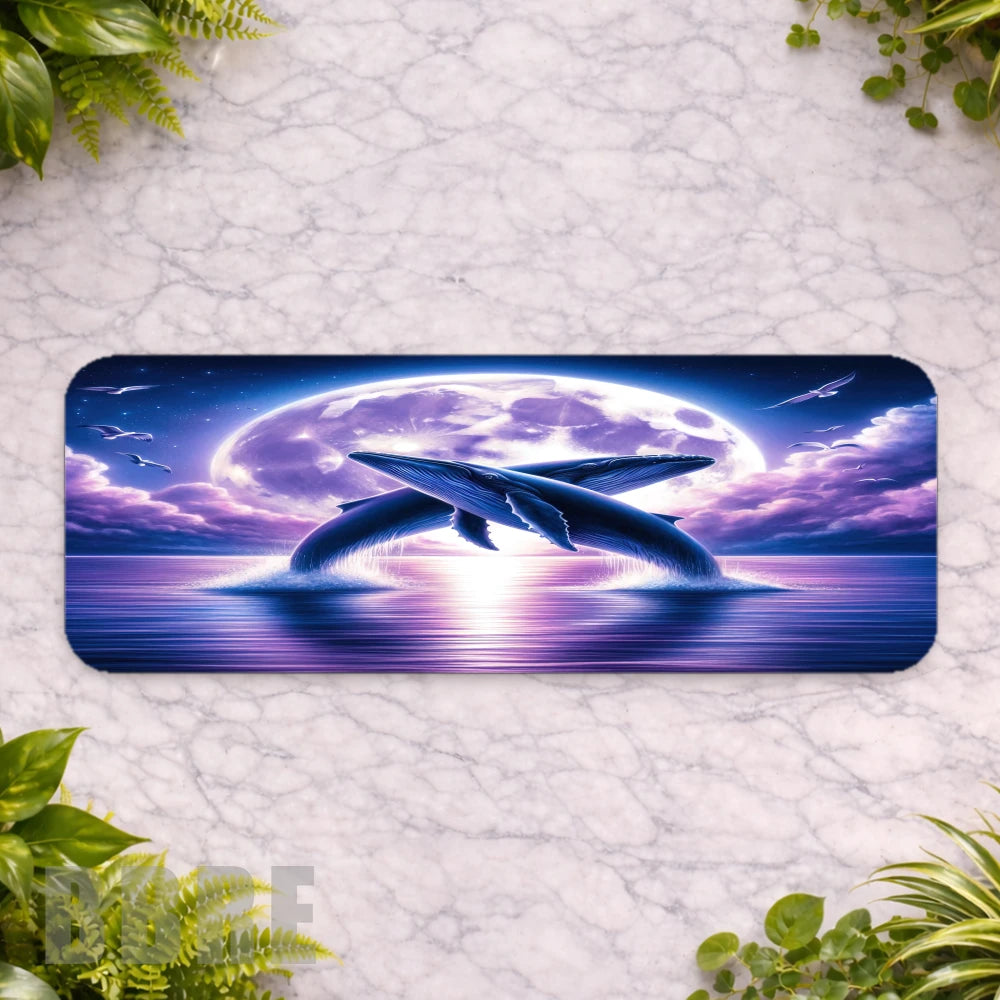 Whale Dance Main Product Photo
