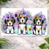 Beagle Trio Main Image