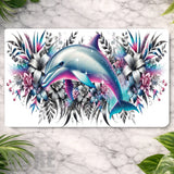 Dolphin Splash Main Image