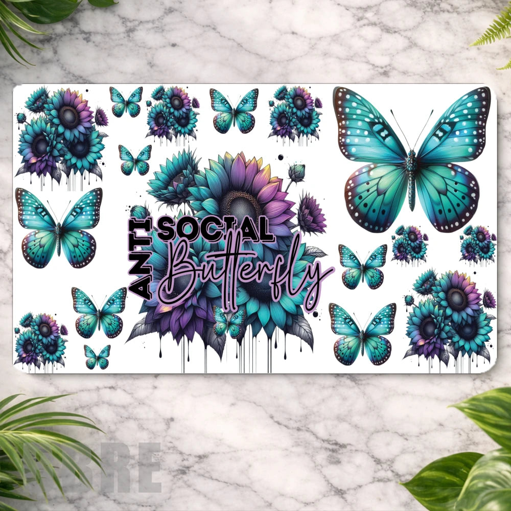 Social Butterfly Main Image