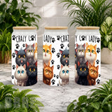 Crazy Cat Product Image