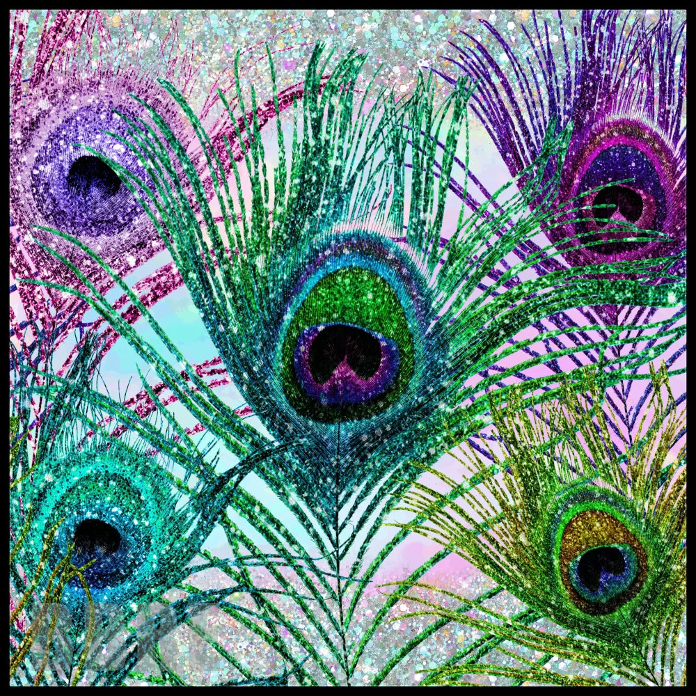Peacock Feathers Main Image,