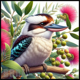 Kookaburra Delight Main Image,
