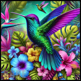 Tropical Hummingbird Main Image,