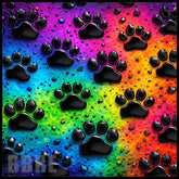 Paw Print Main Image,