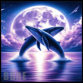 Whale Dance Main Image,