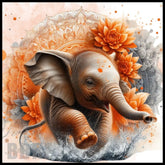 Elephant Splash Main Image,
