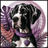 Great Dane Main Image,