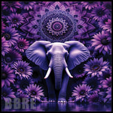 Purple Elephant Main Image,