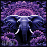 Majestic Elephant 2 Main Image,