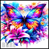 Vibrant Butterfly Main Image,