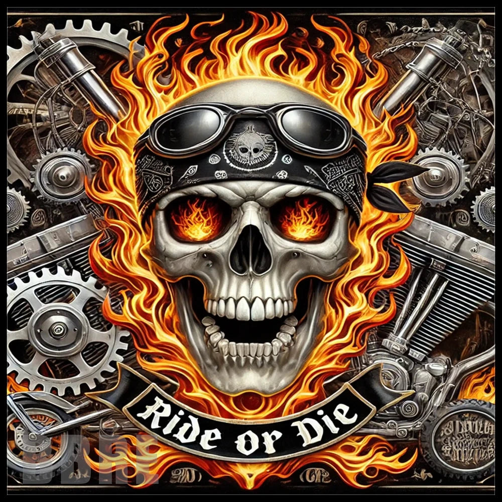 Ride Or Die 2 Main Image,