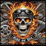 Ride Or Die 2 Main Image,