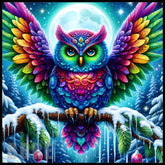 Colorful Owl Main Image,
