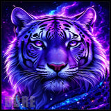 Cosmic Tiger Main Image,