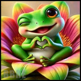 Happy Frog Main Image,