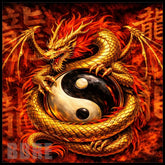 Dragon Yinyang Main Image,