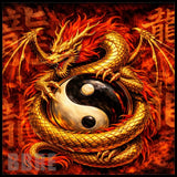 Dragon Yinyang Main Image,