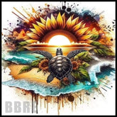 Turtle Sunset Main Image,