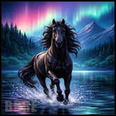 Majestic Stallion 4 Main Image,