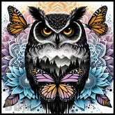 Owl Butterfly Main Image,