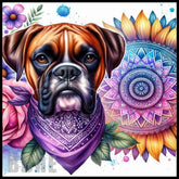 Boxer Dog Main Image,