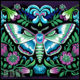 Floral Moth Main Image,