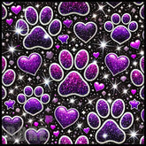 Sparkling Paws Main Image,
