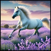 Majestic Horse 16 Main Image,