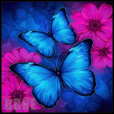 Butterfly Bloom 23 Main Image,