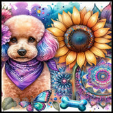 Poodle Sunflower Main Image,