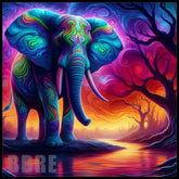 Colorful Elephant 9 Main Image,