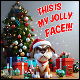 Jolly Dog Main Image,
