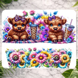 Cute Bears Main Image,