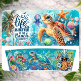 Beach Turtle Main Image,
