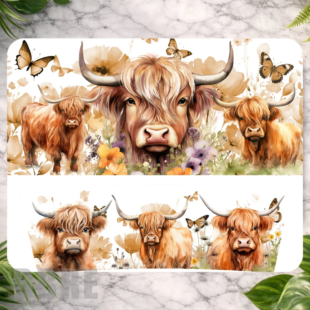 Highland Cattle Main Image,
