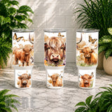 Highland Cattle Product Image,