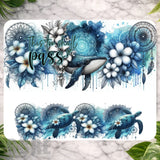 Ocean Dreams Main Image,