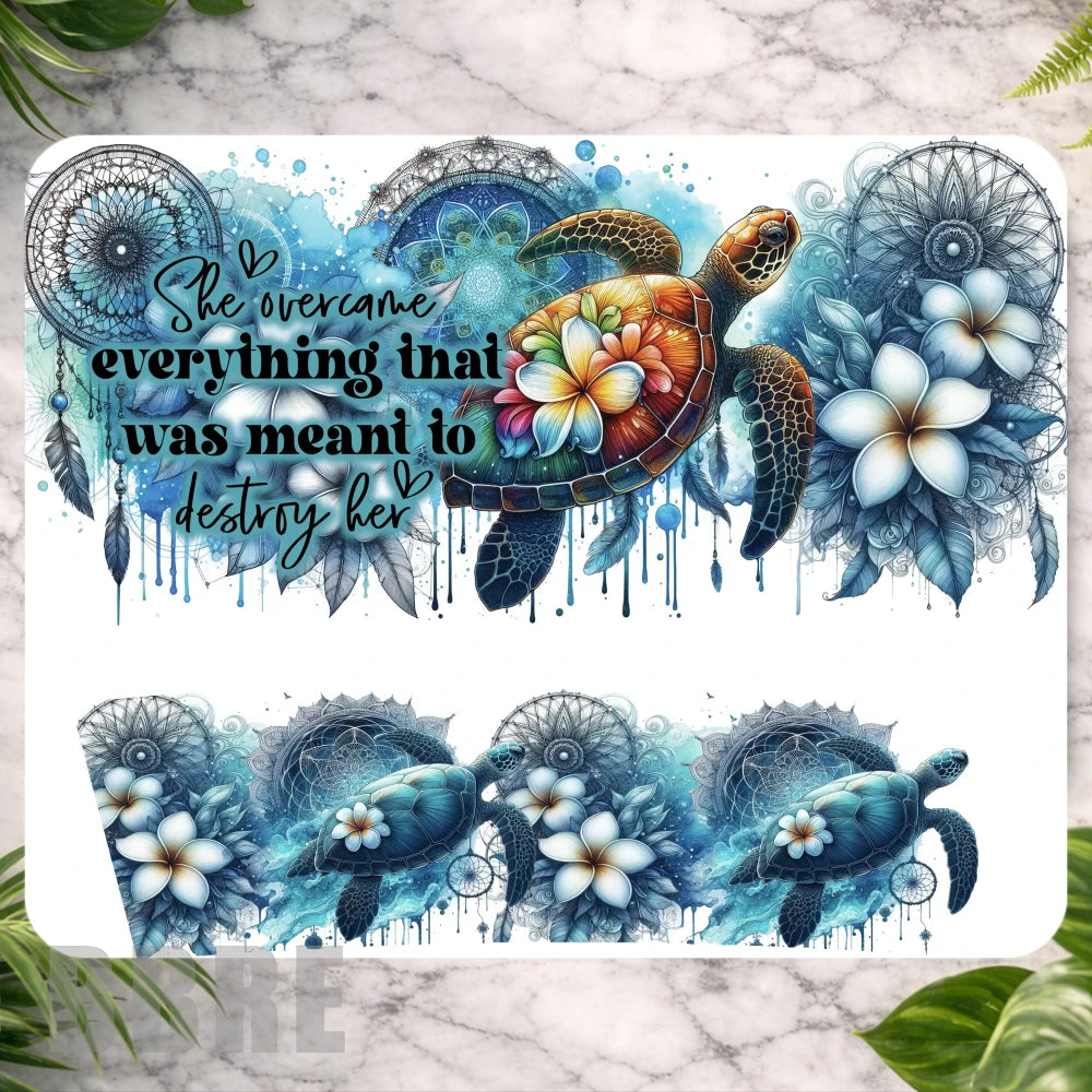 Turtle Dreams Main Image,