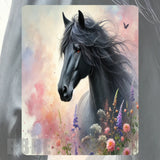 Majestic Black Horse Mockup Image