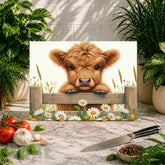 Highland Cow 2 Main Image