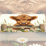 Highland Cow Faded Image
