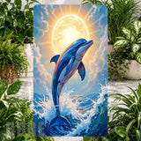 Dolphin Splash Product Image