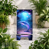 Cosmic Dolphin Product Mockup