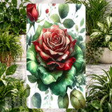 Elegant Rose Product Image