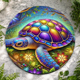 Colorful Turtle 4 Product Image