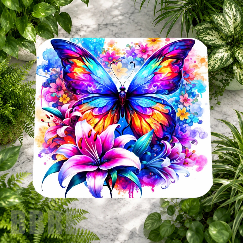 Colorful Butterfly Product Image