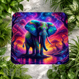 Colorful Elephant 2 Product Image